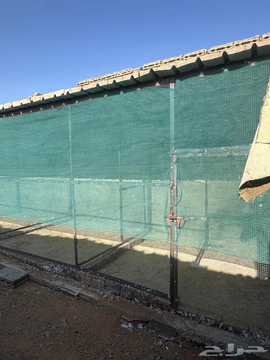 Pigeon and chicken coop63671671042945114