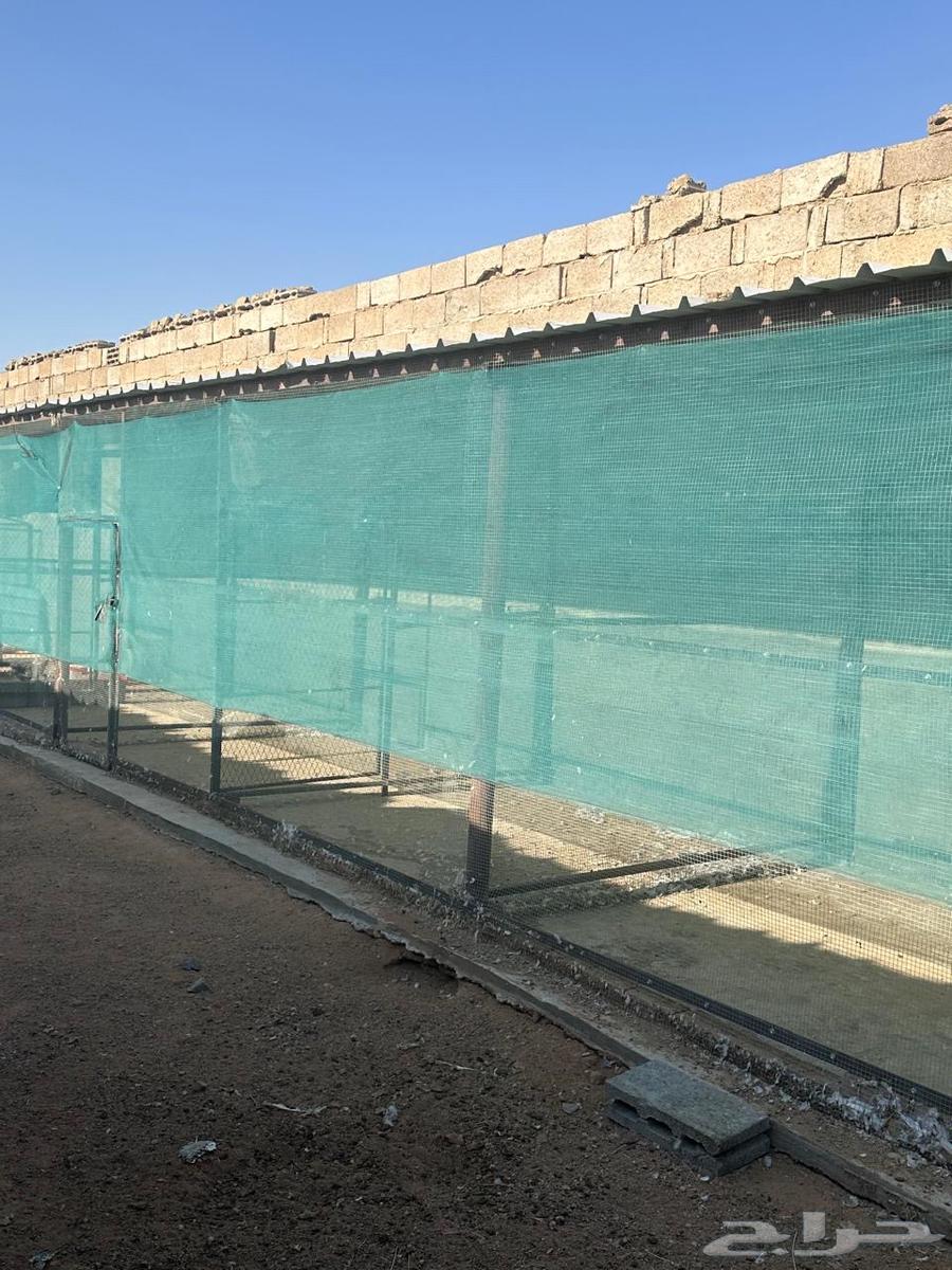 Pigeon and chicken coop63671671042945113