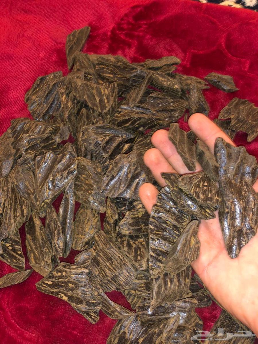 عوده فاخره بسعر طيب63667805597699112