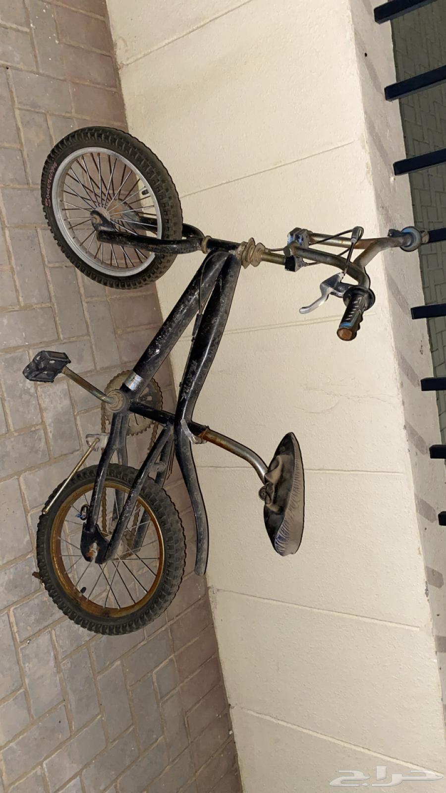 New bikes for sale63676649074563112