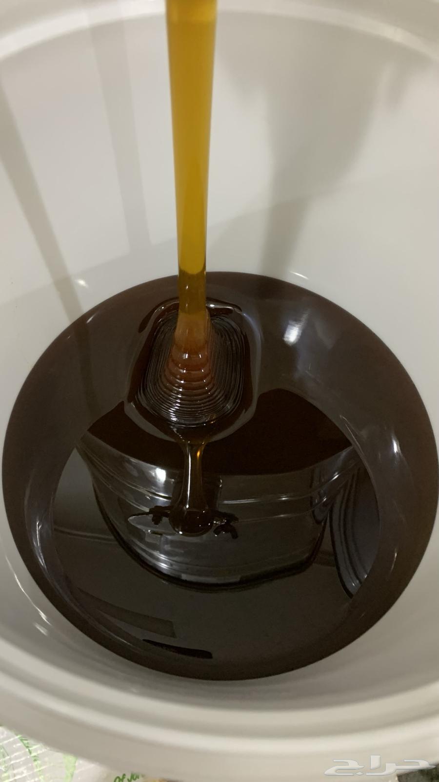 Talh Honey on Credit63680463007234111