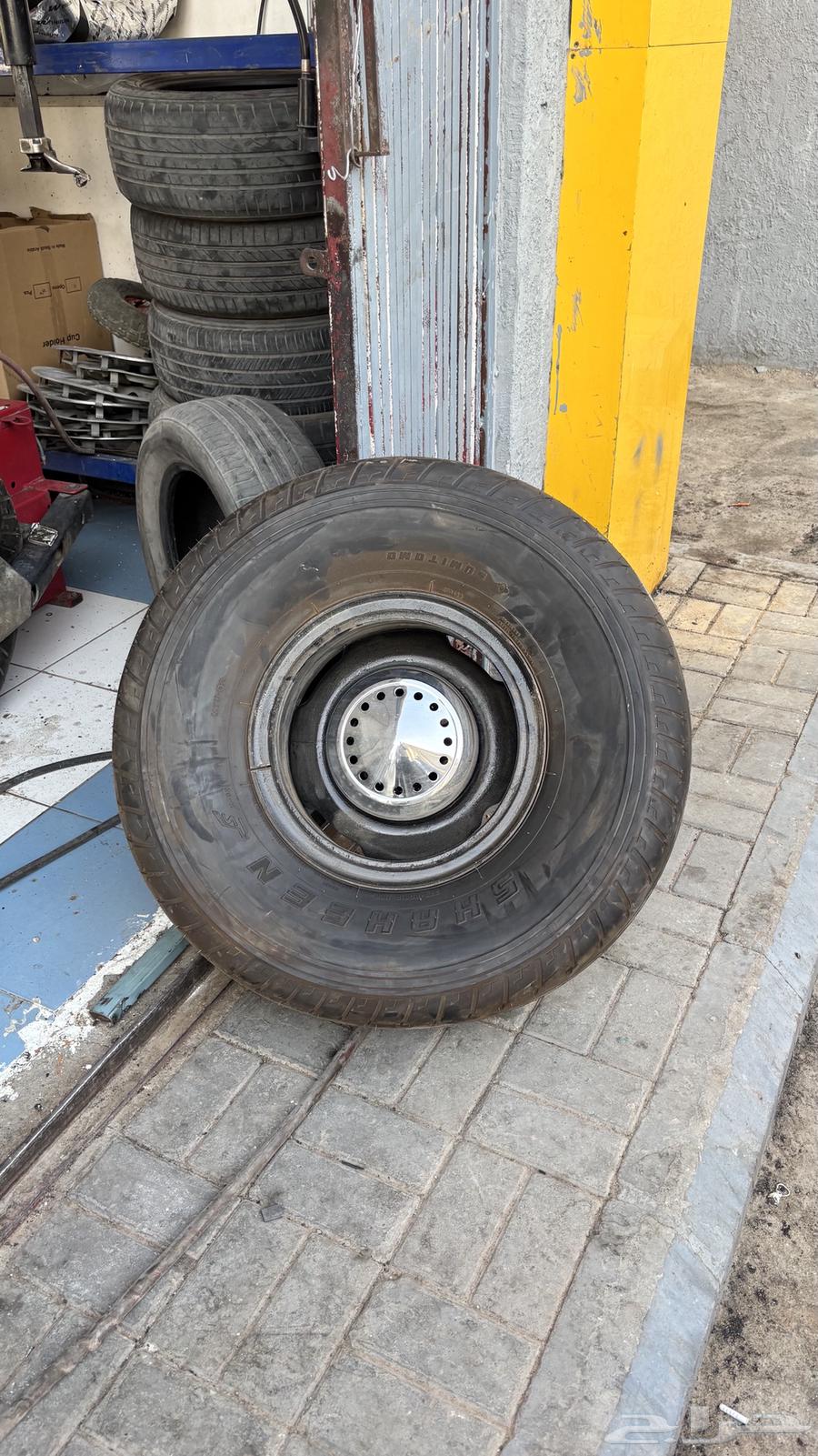جنوط شنبر شنابر63737875244034110