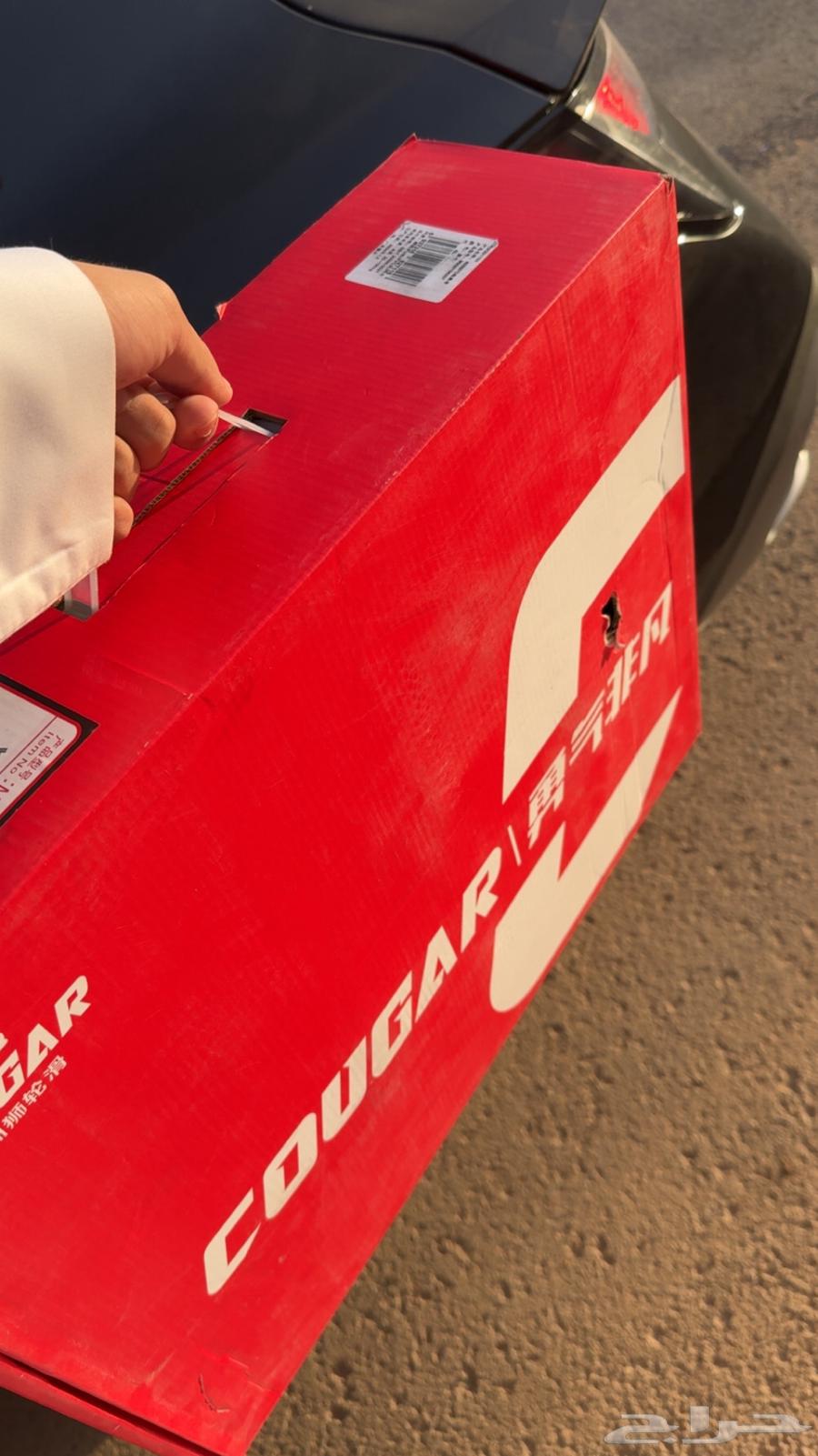سكيت كوجر 30763676115211905111