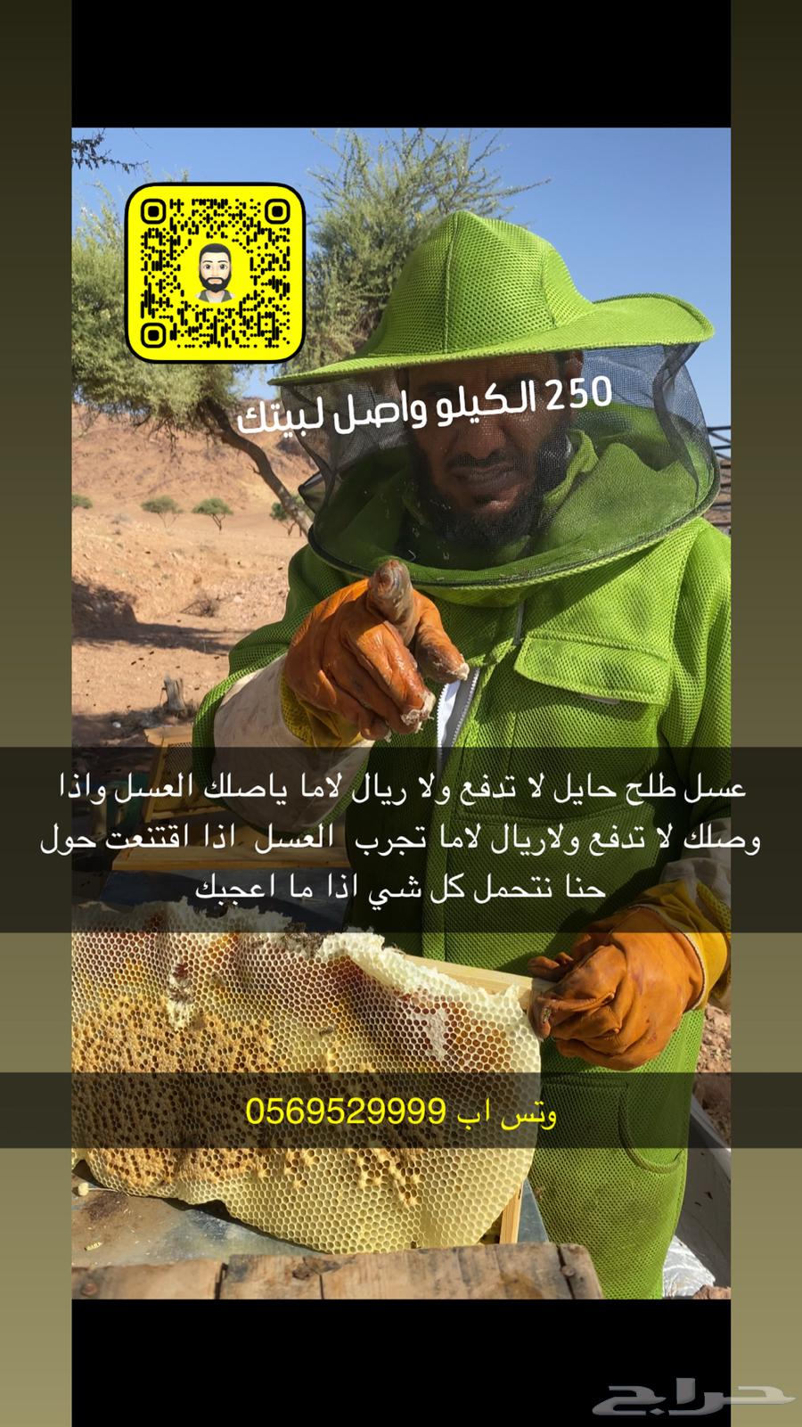 Hail Sidr Honey, Don't Pay a Single Riyal63679655799554111
