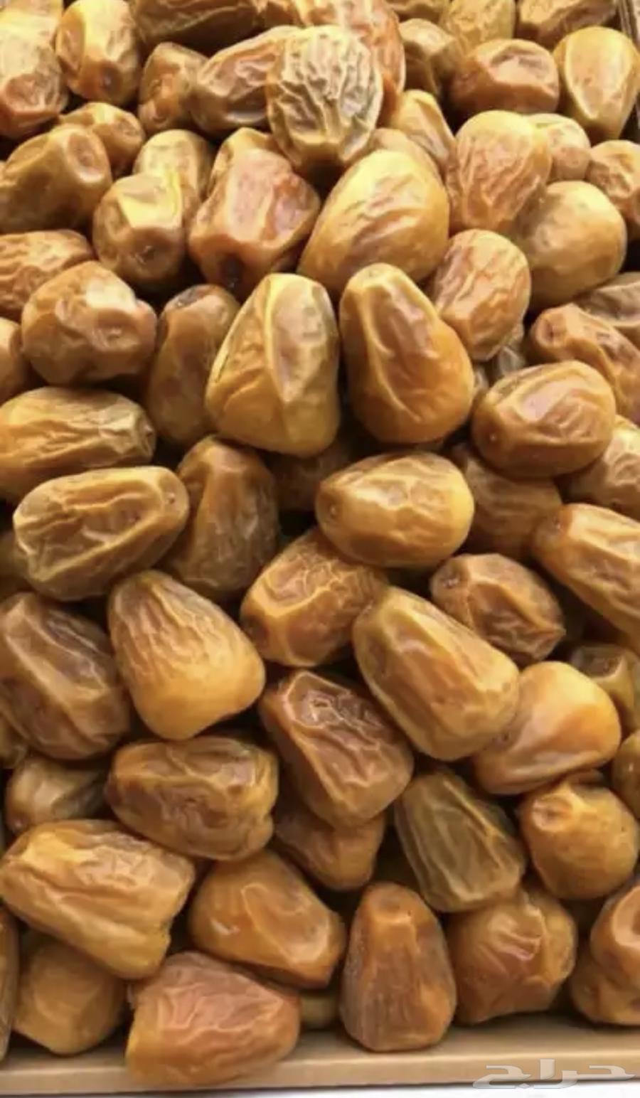 سكري القصيم الفاخر من المزرعة الى باب منزلك63679333881345111