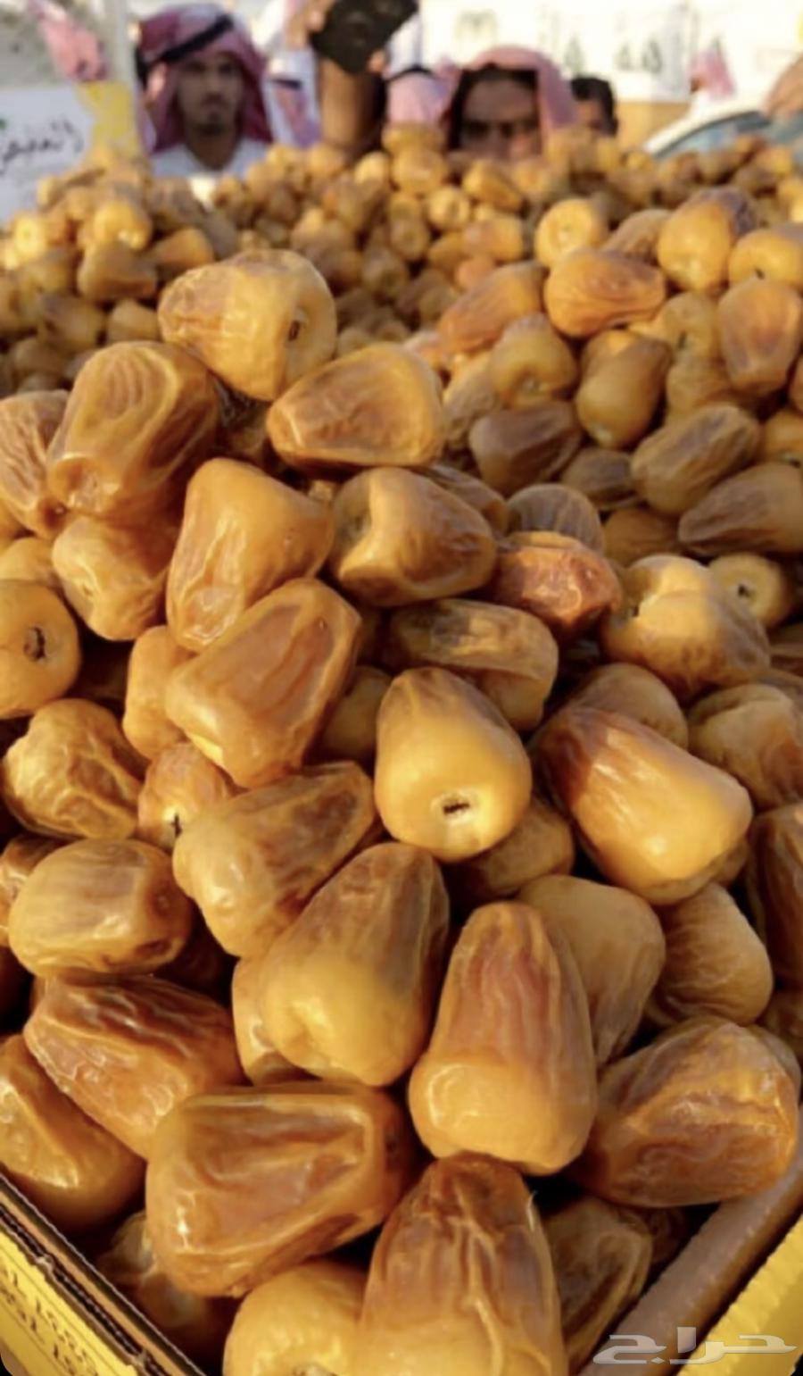 سكري القصيم الفاخر من المزرعة الى باب منزلك63679333881345114