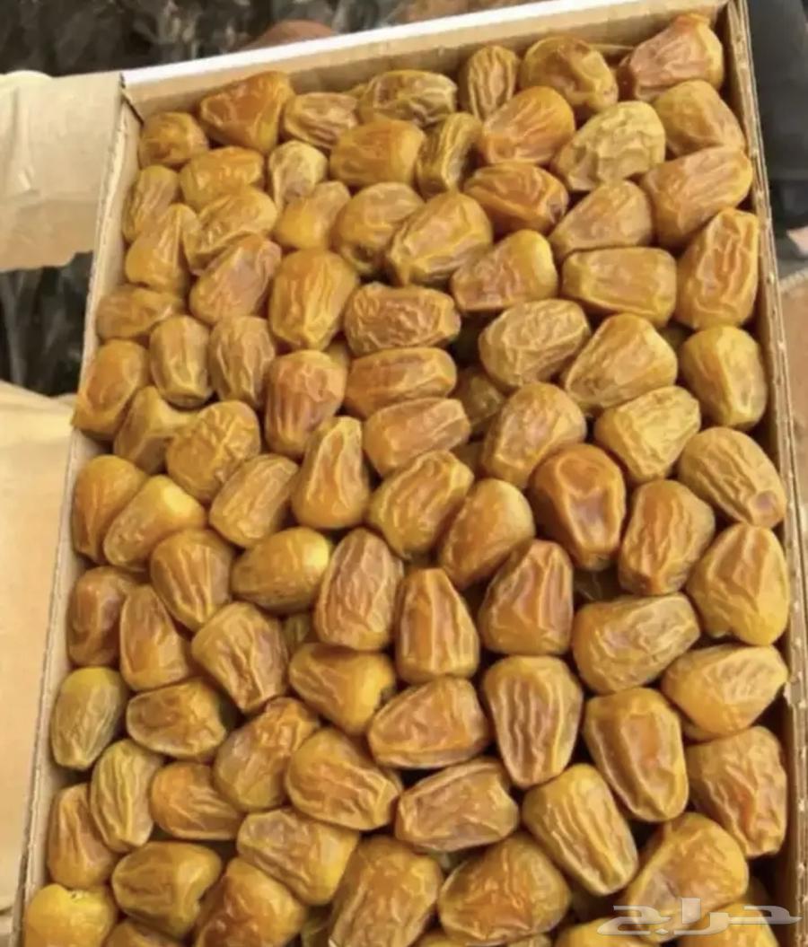 سكري القصيم الفاخر من المزرعة الى باب منزلك63679333881345112