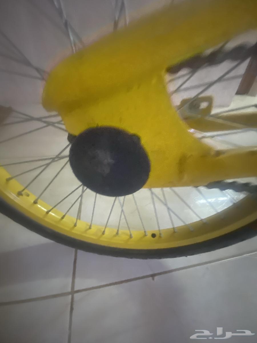 سيكل كوبرا للبيع على السوم63676994110979113