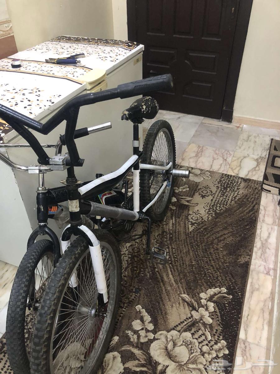 دراجة كوبرا مقاس 2463676112346753112