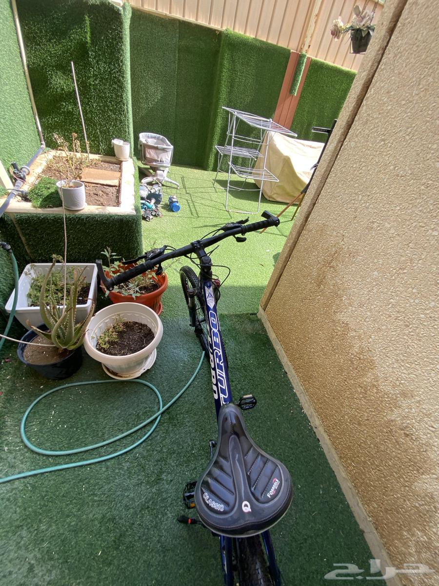 Cycle Turbo63681000839938114