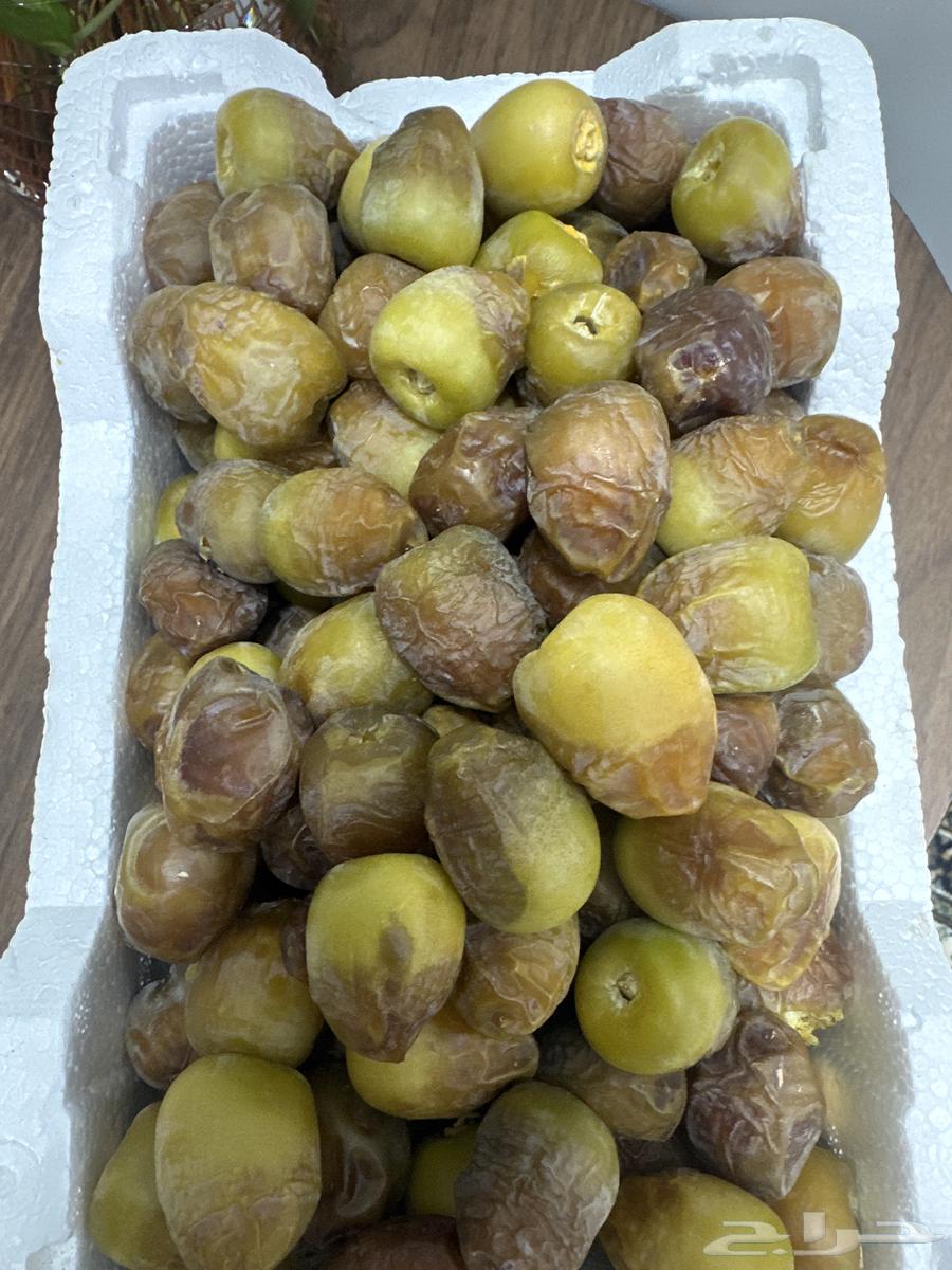 للبيع رطب كعيمره63676204603649111