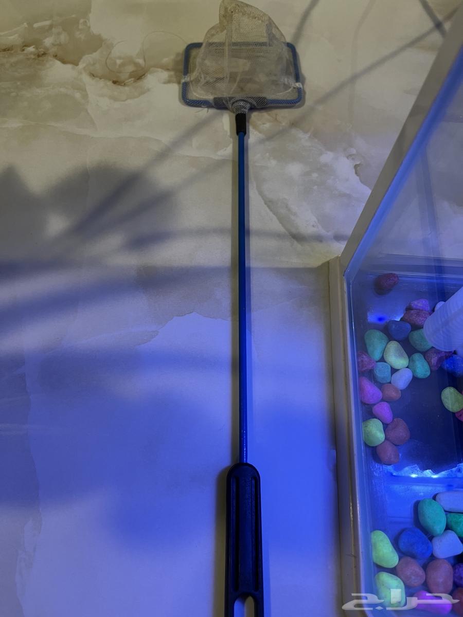New, lightweight, and easy-to-clean fish tank for sale63679744341891113