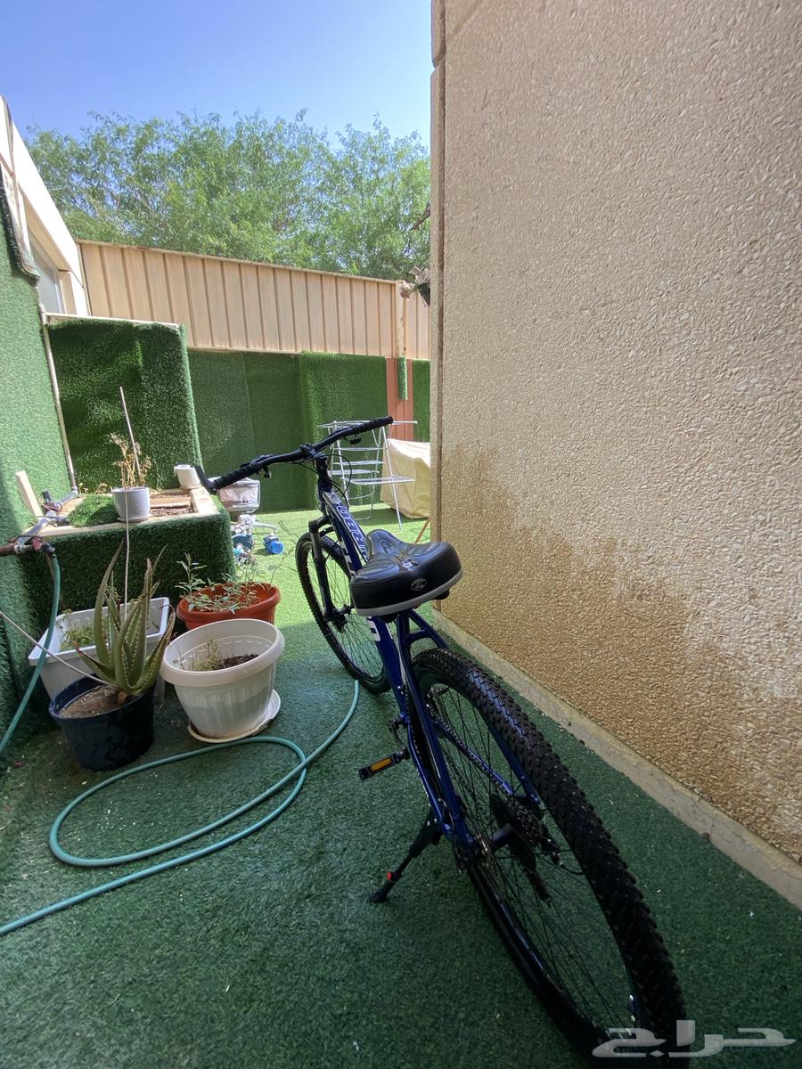 Cycle Turbo63681000839938112