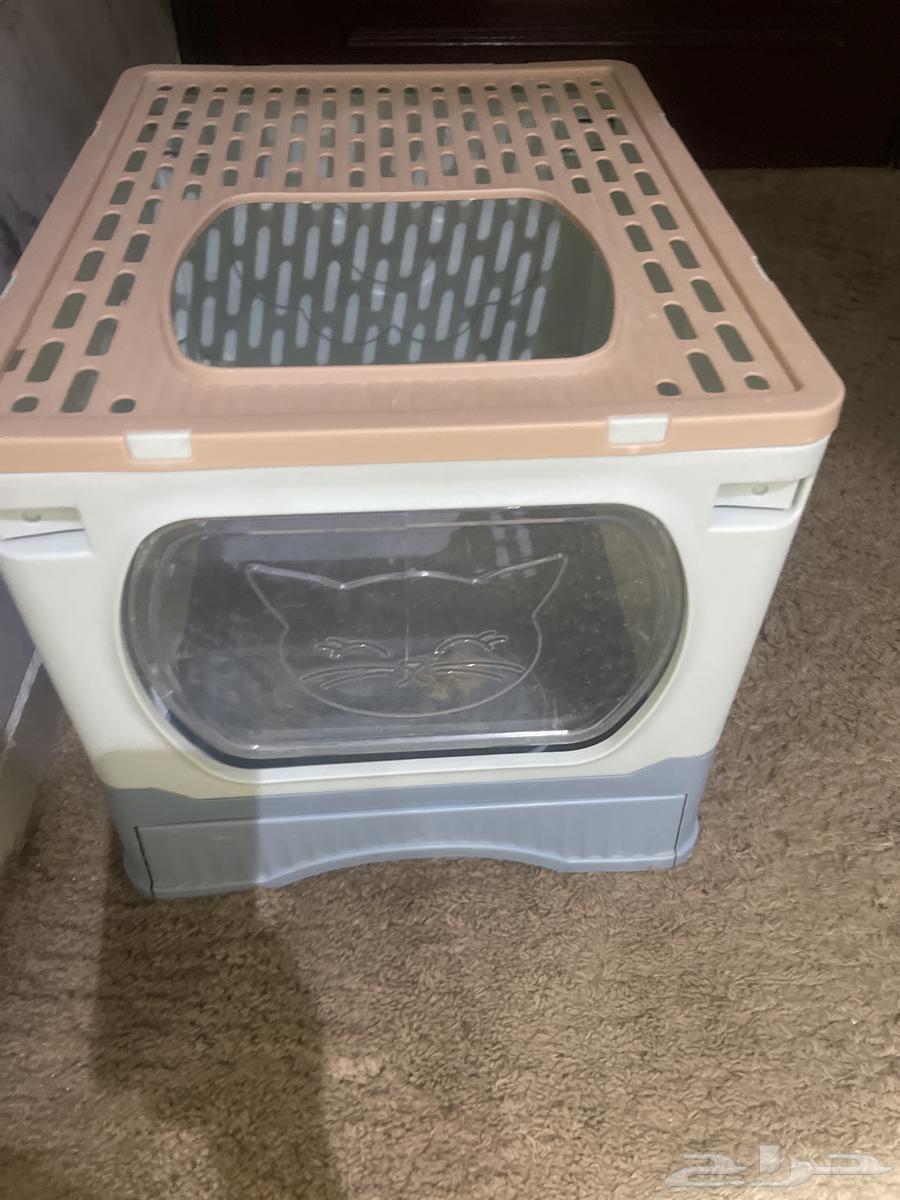 Litter Box for Cats63676204670337110