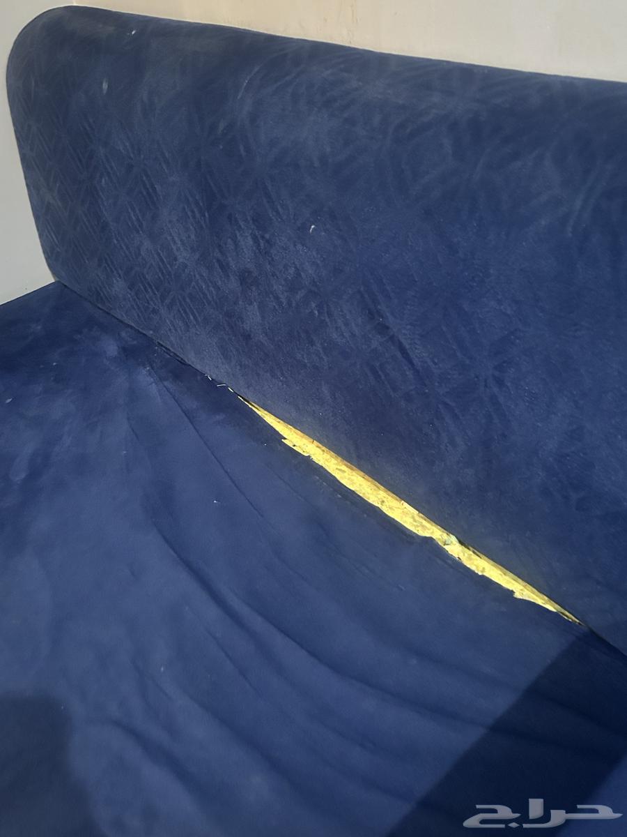 Floor sofa, floor council, cushion63677938299394113