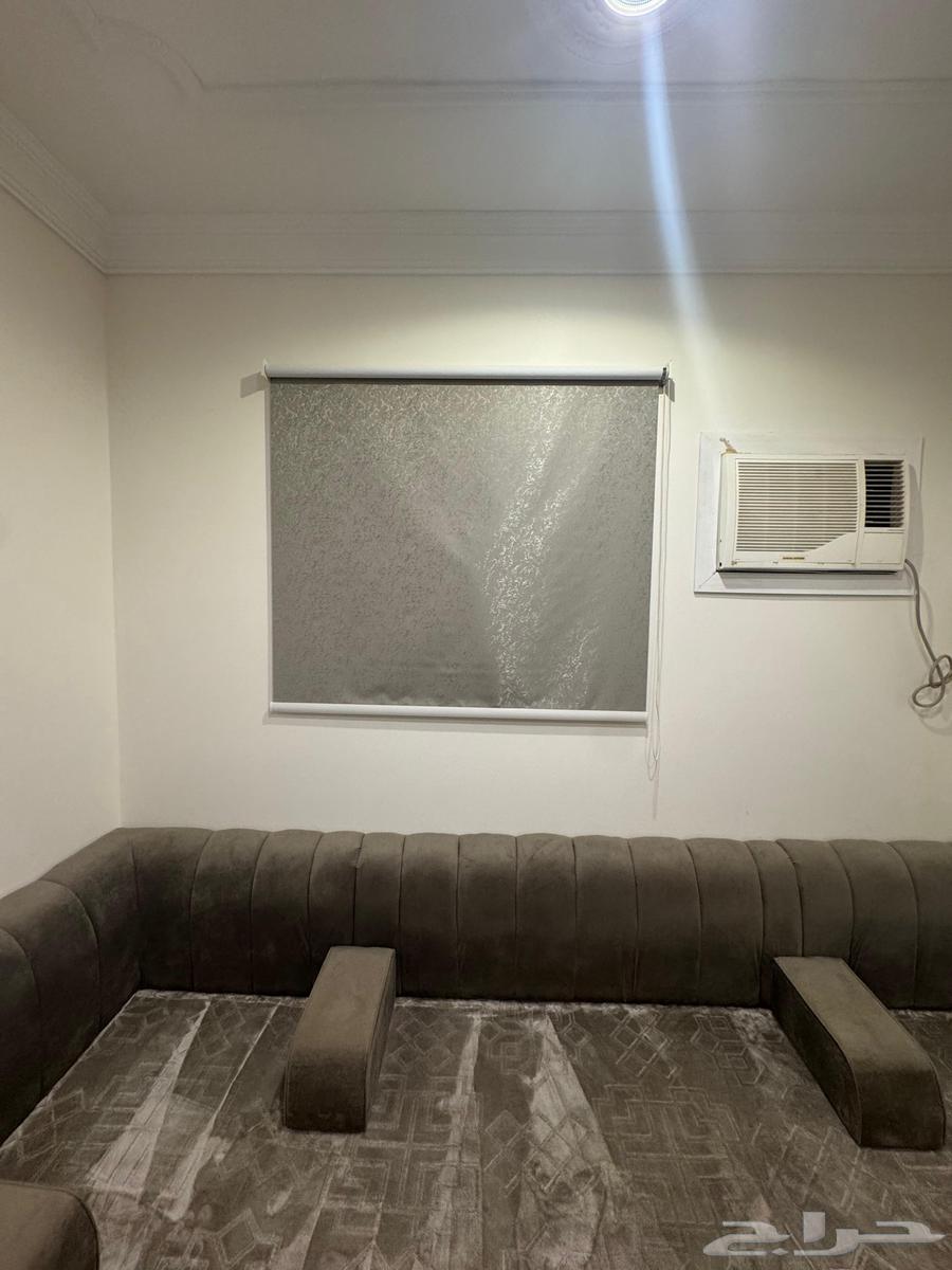 Floor seating with curtain and backrests63677078347138113