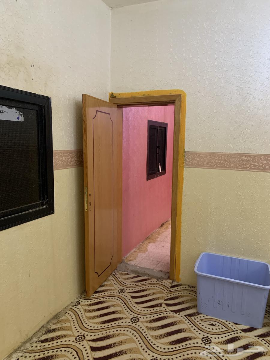 أبواب خشبيه للبيع عدد 263679118865281111