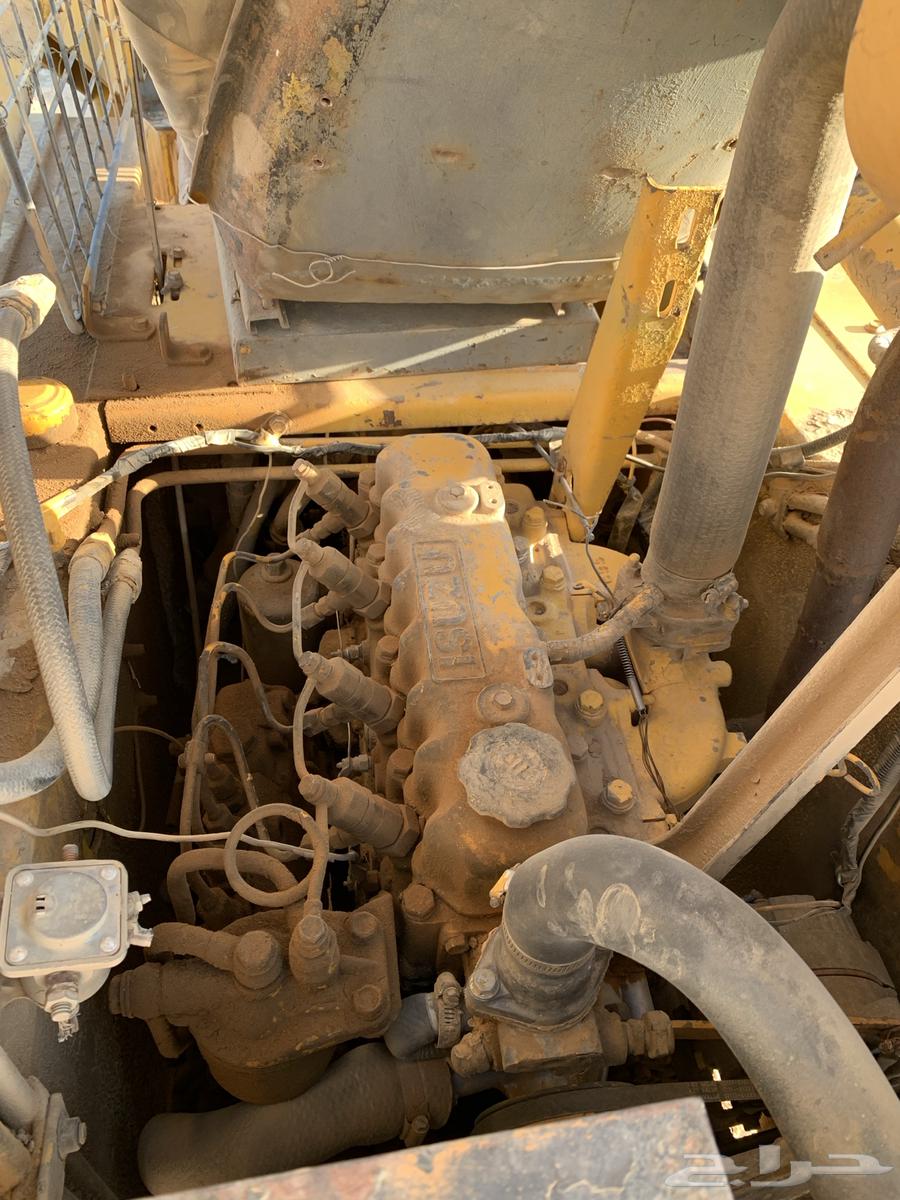 Bob Cat63728313555074110