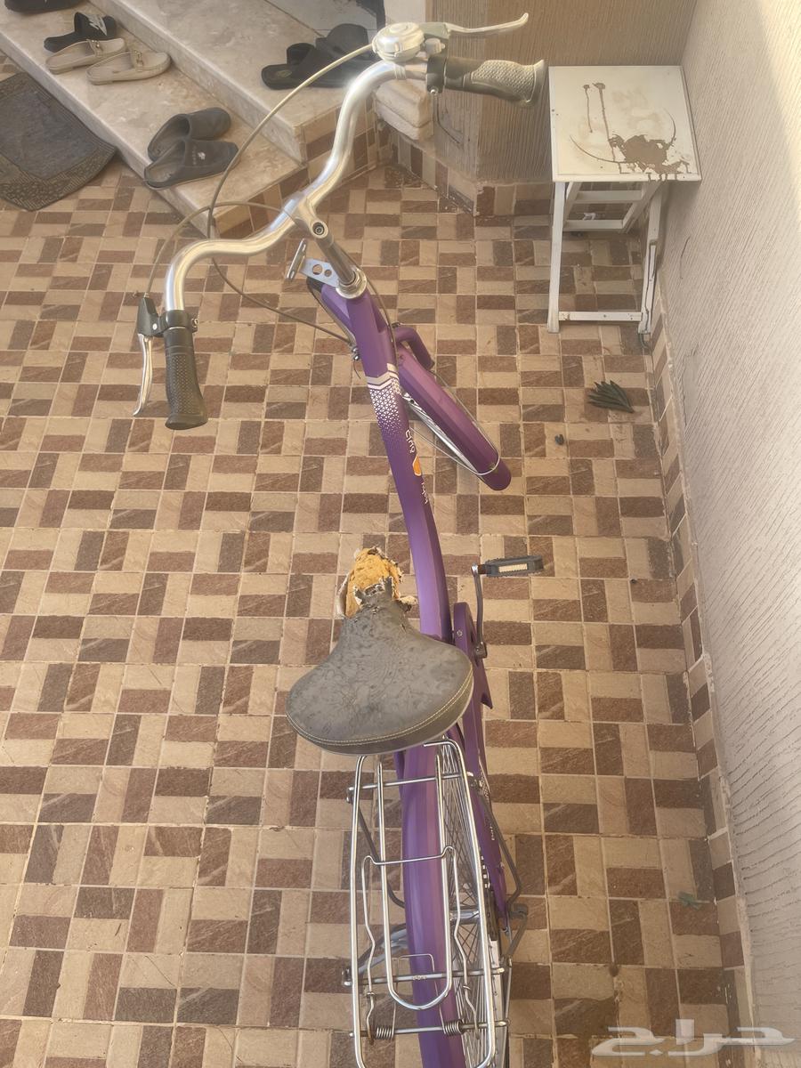 Cycle63678027959555111