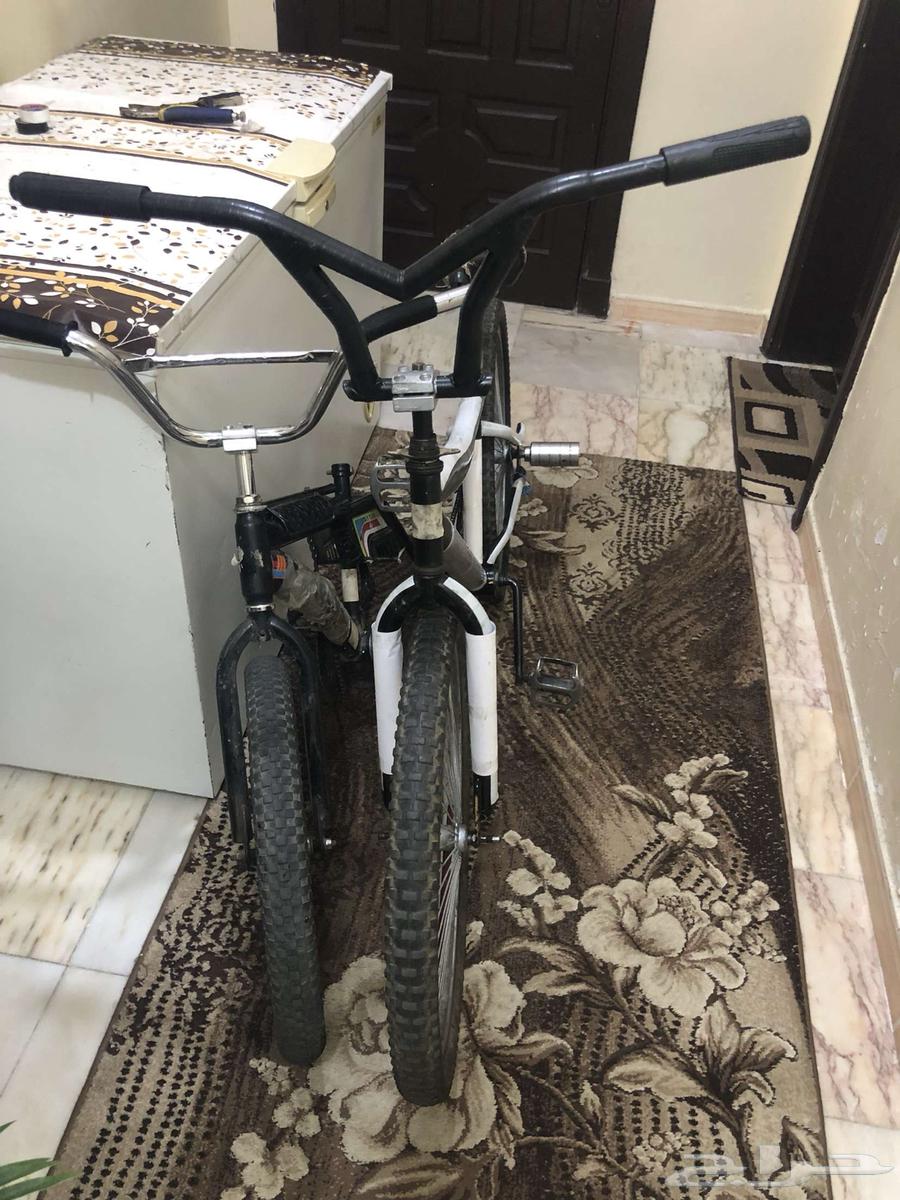دراجة كوبرا مقاس 2463676112346753111