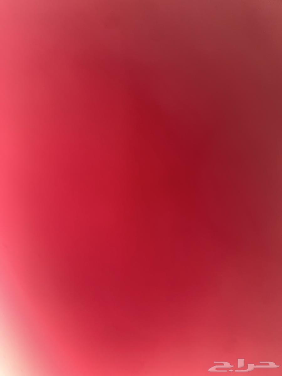 سلام الي عندها كلب صغير و يلعب للتبنى يقول لي63728682578945110