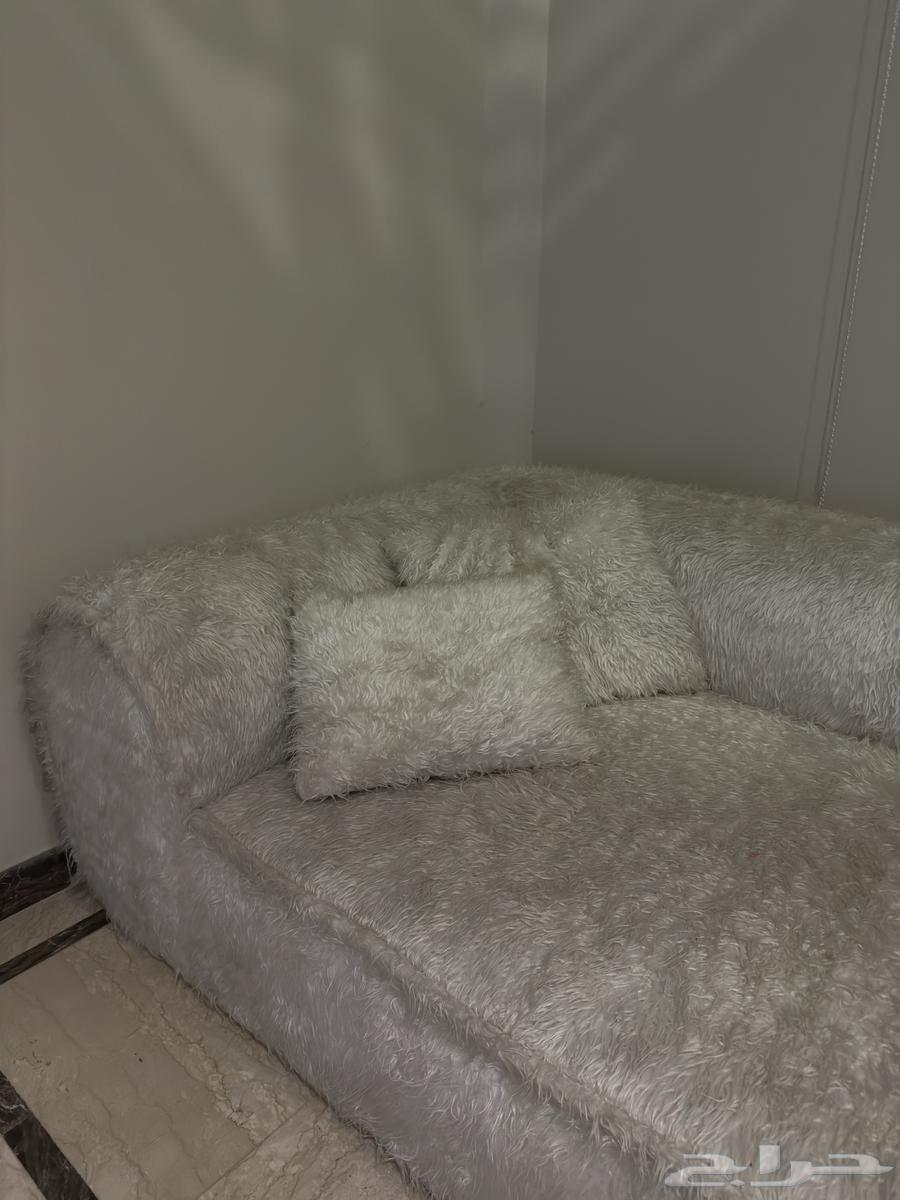 White fur sofa63679919143555112