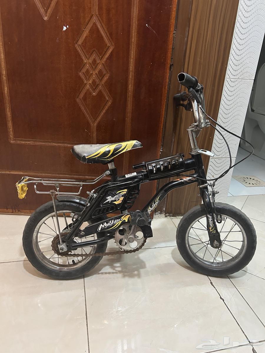 عجل اطفال للبيع63679118921859111