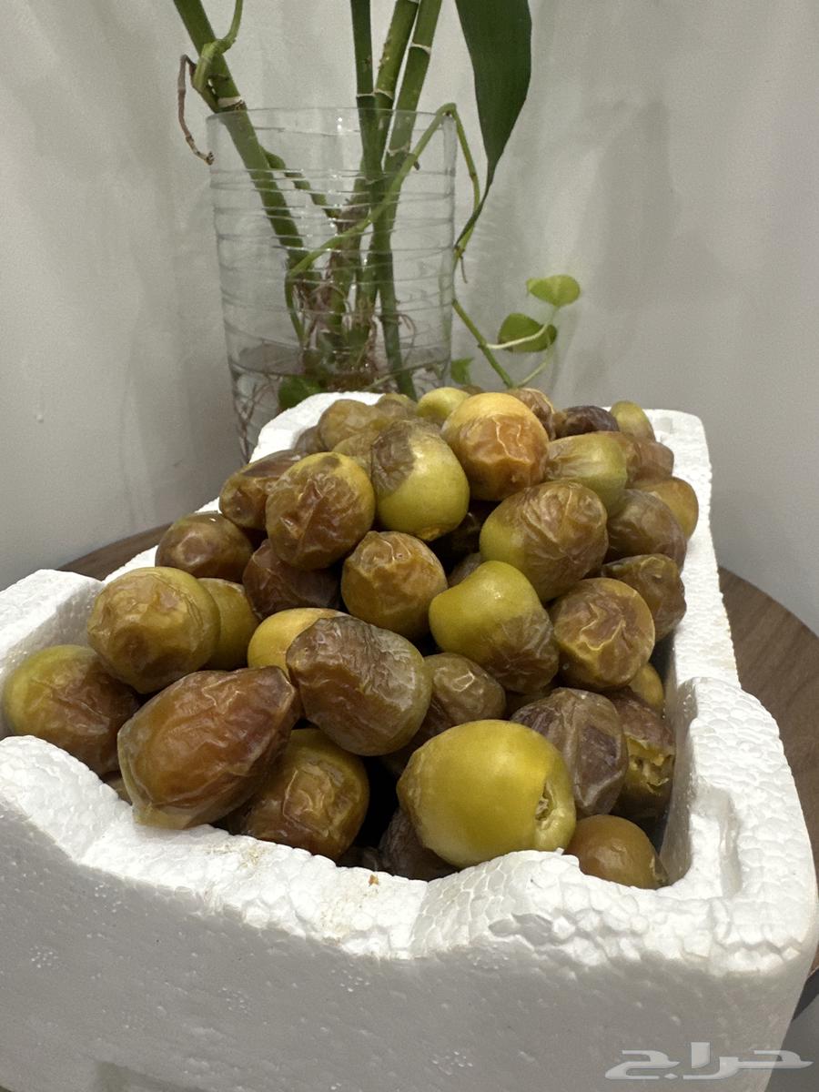للبيع رطب كعيمره63676204603649110