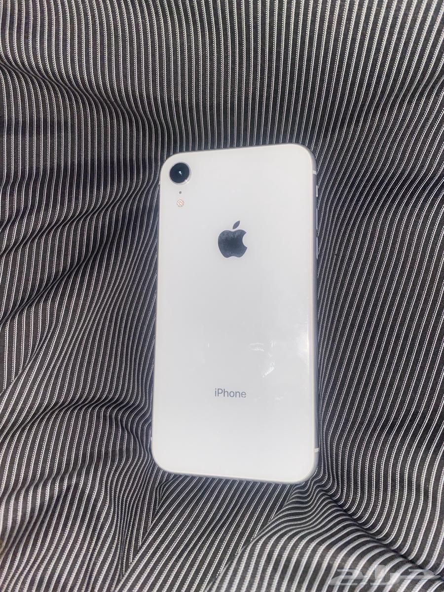 iPhone XR63677078541315111