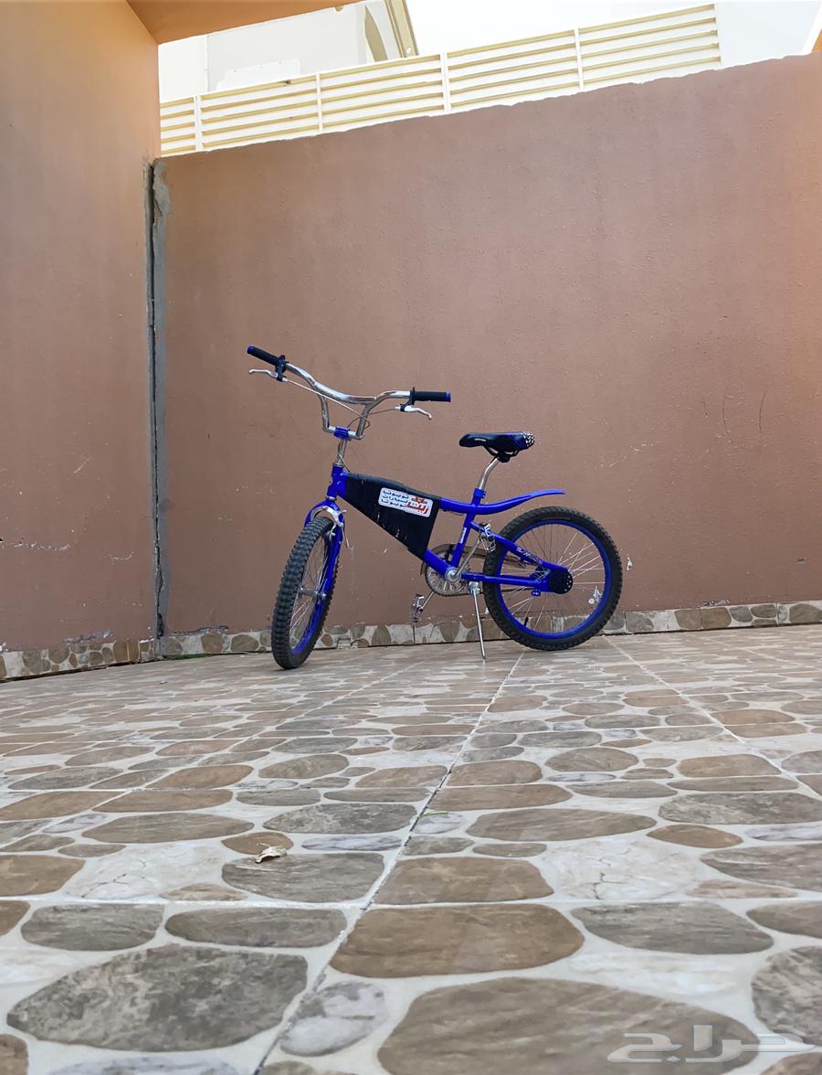 سيكل كوبرا نظيف معي بس شهرين. للبيع 30063679658089857110