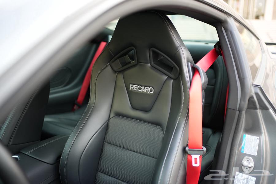 Mustang Performance Night Pony Body 2024 (Black edition)63617970071427112