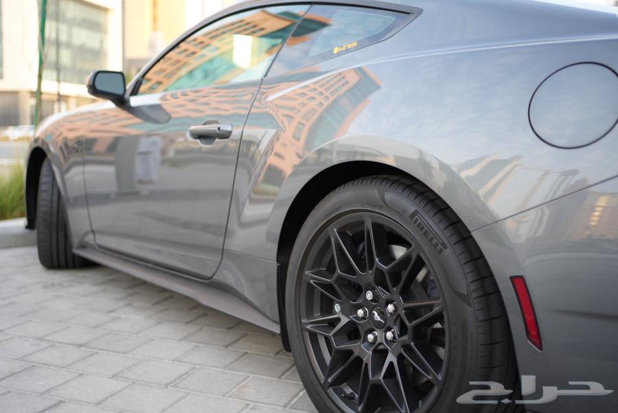 Mustang Performance Night Pony Body 2024 (Black edition)63617970071427114