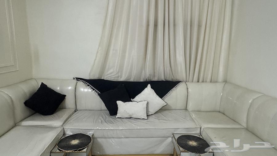 كنب للبيع بسعر 1700 وقابل لتفاوض63677854126851112