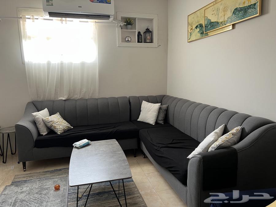 Classic model sofa for sale in excellent condition, clean use63680550818563111