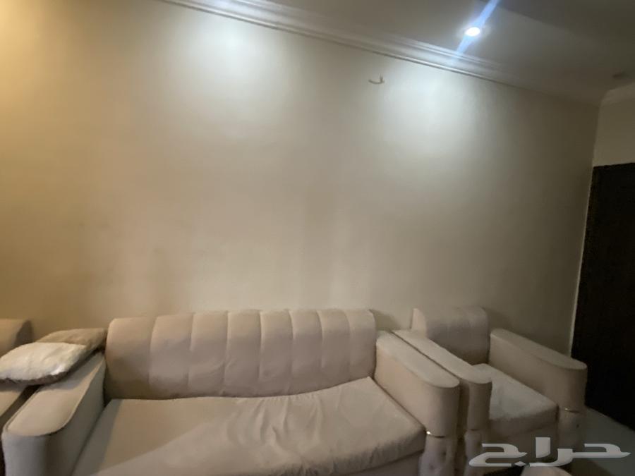 Sofa for sale63678384156801111