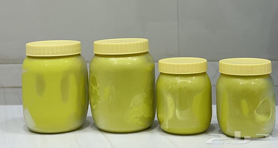 Sheep Ghee63680641463553111