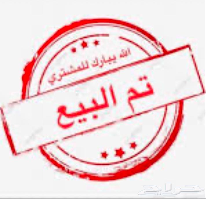 Froukh Roz Tam Al-Bayea63623798522626111