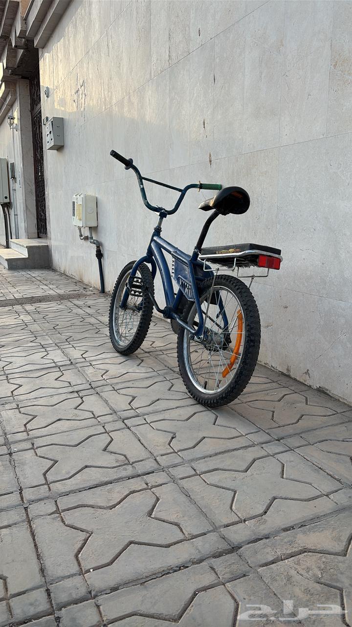 Cicle63677512717059111
