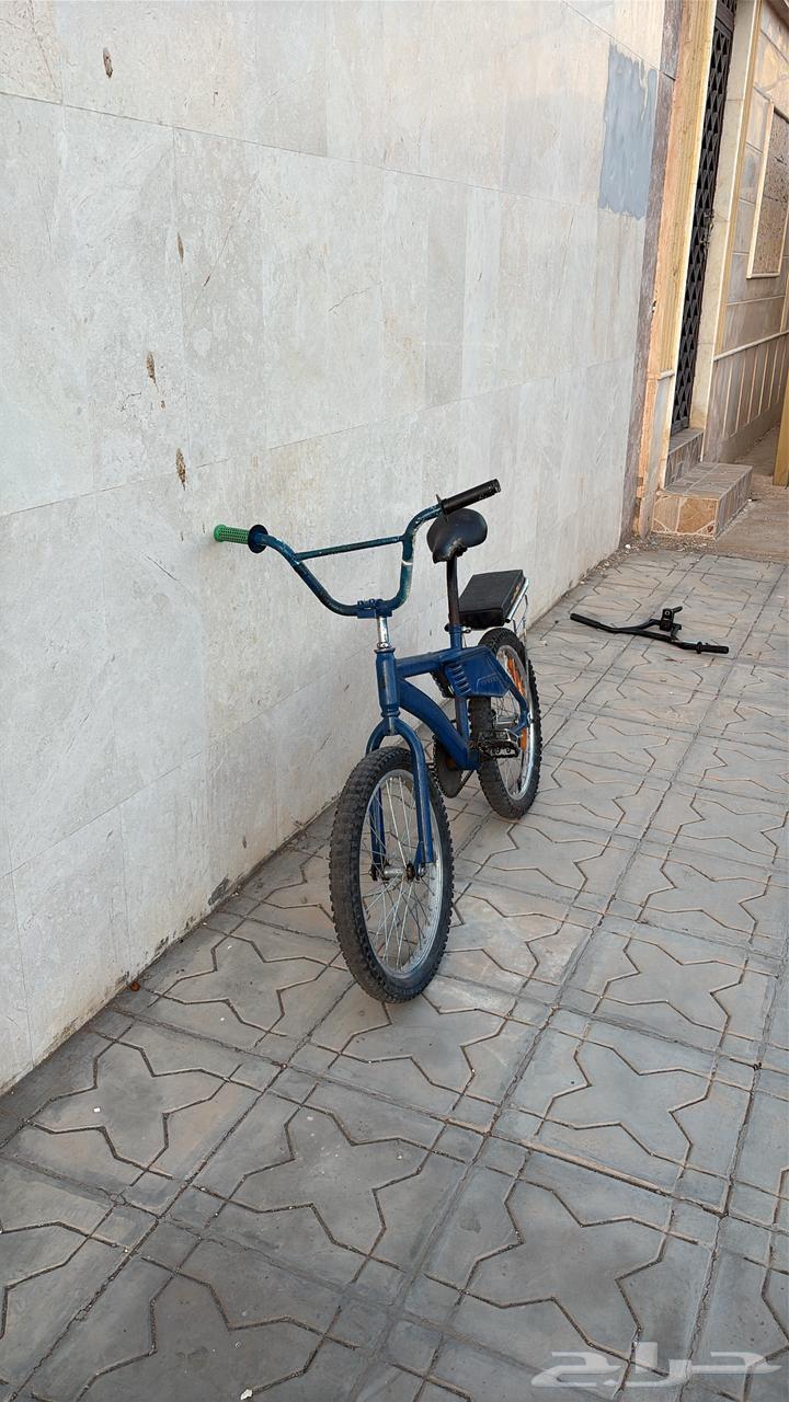 Cicle63677512717059114