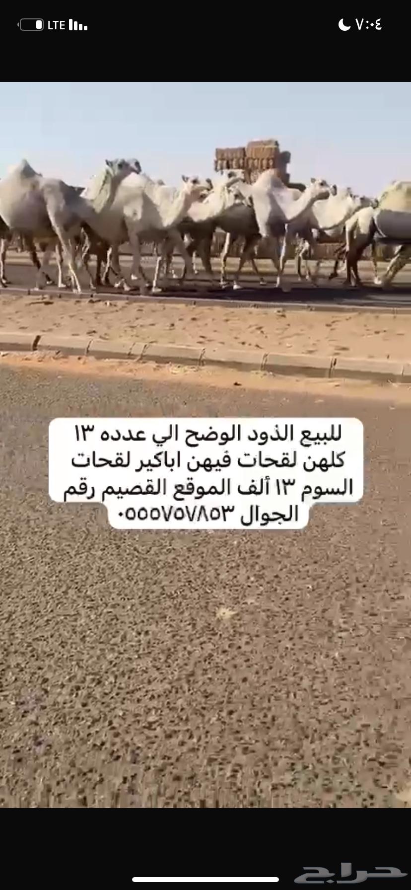 ذود مغاتير العدد 1363678027884417114