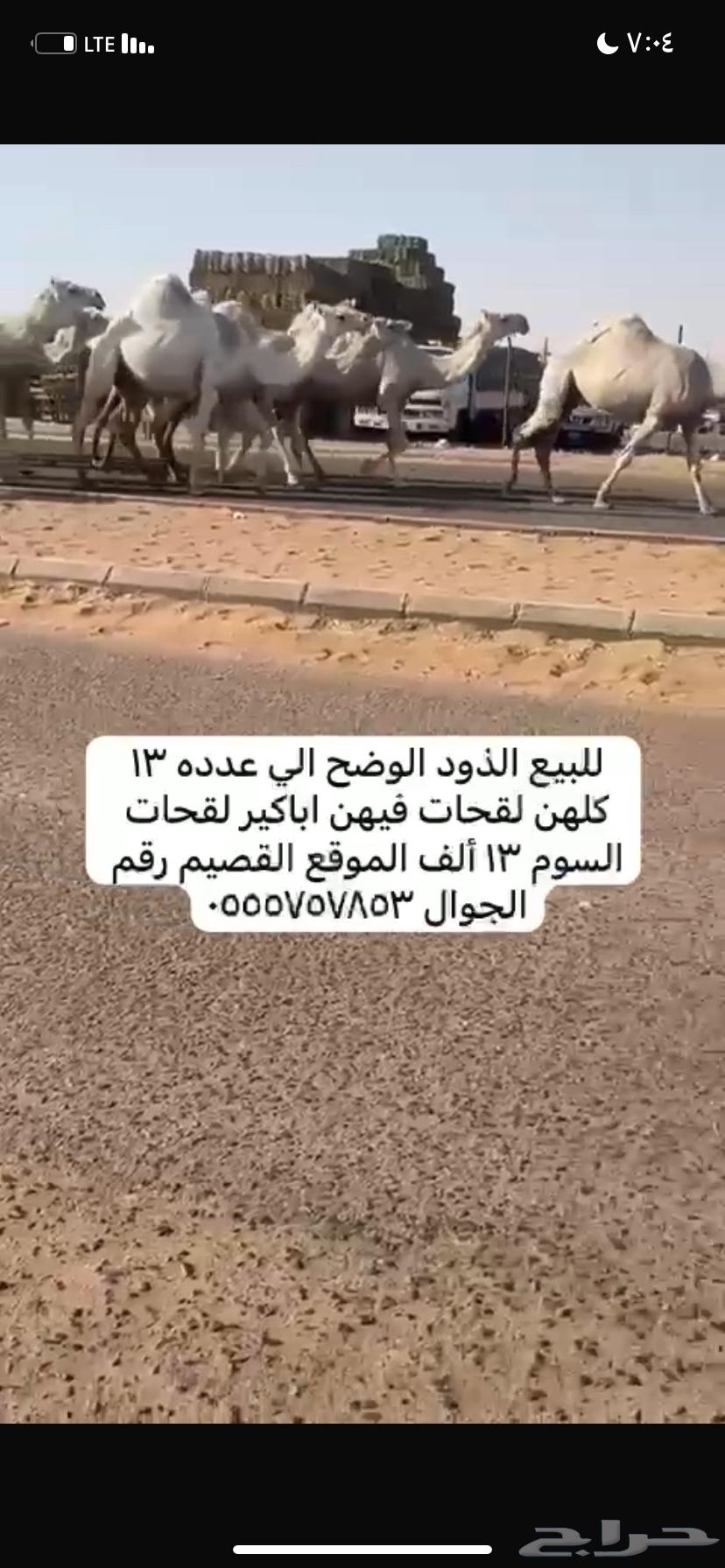 ذود مغاتير العدد 1363678027884417111