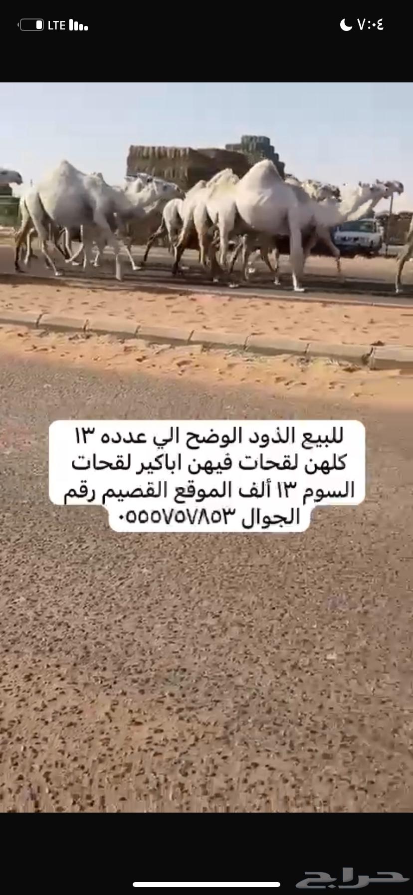 ذود مغاتير العدد 1363678027884417112