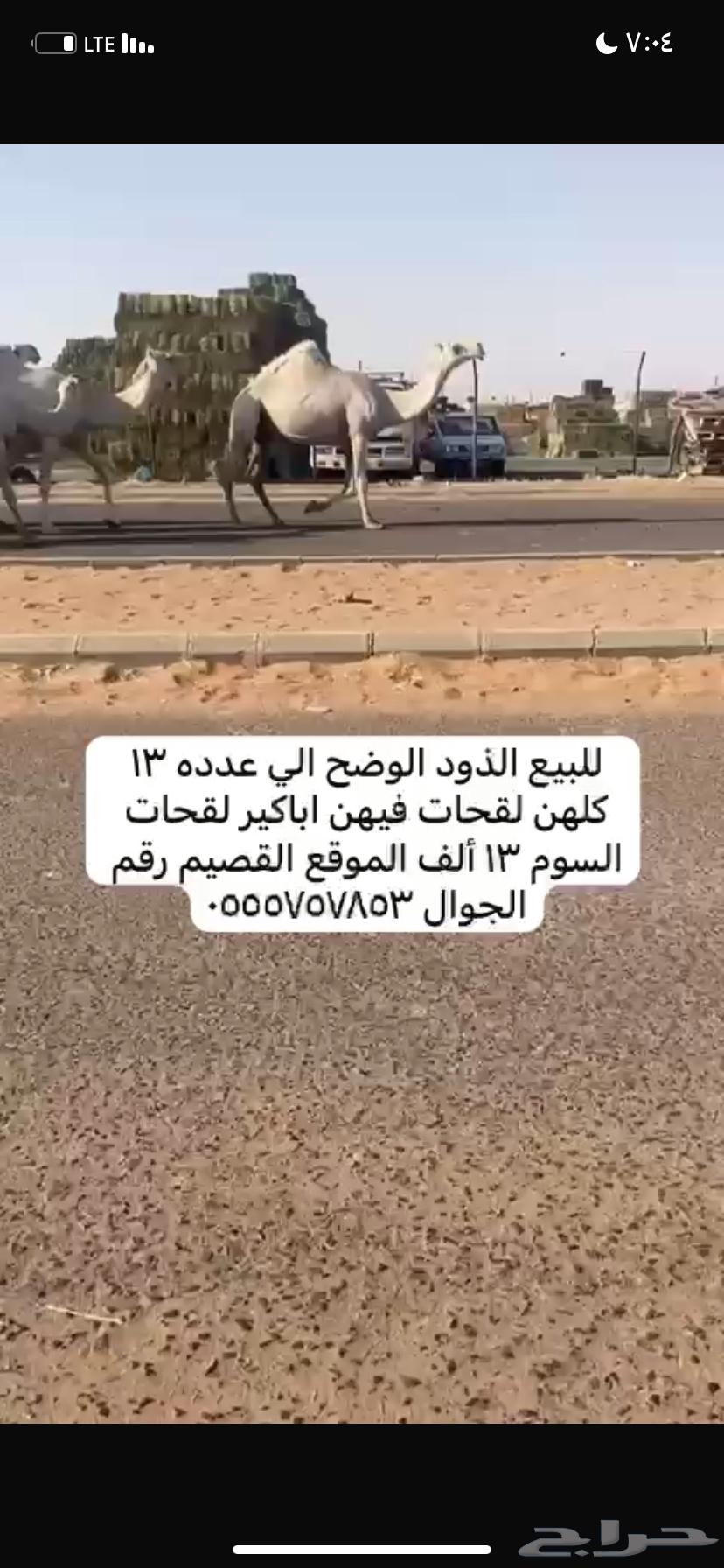 ذود مغاتير العدد 1363678027884417110