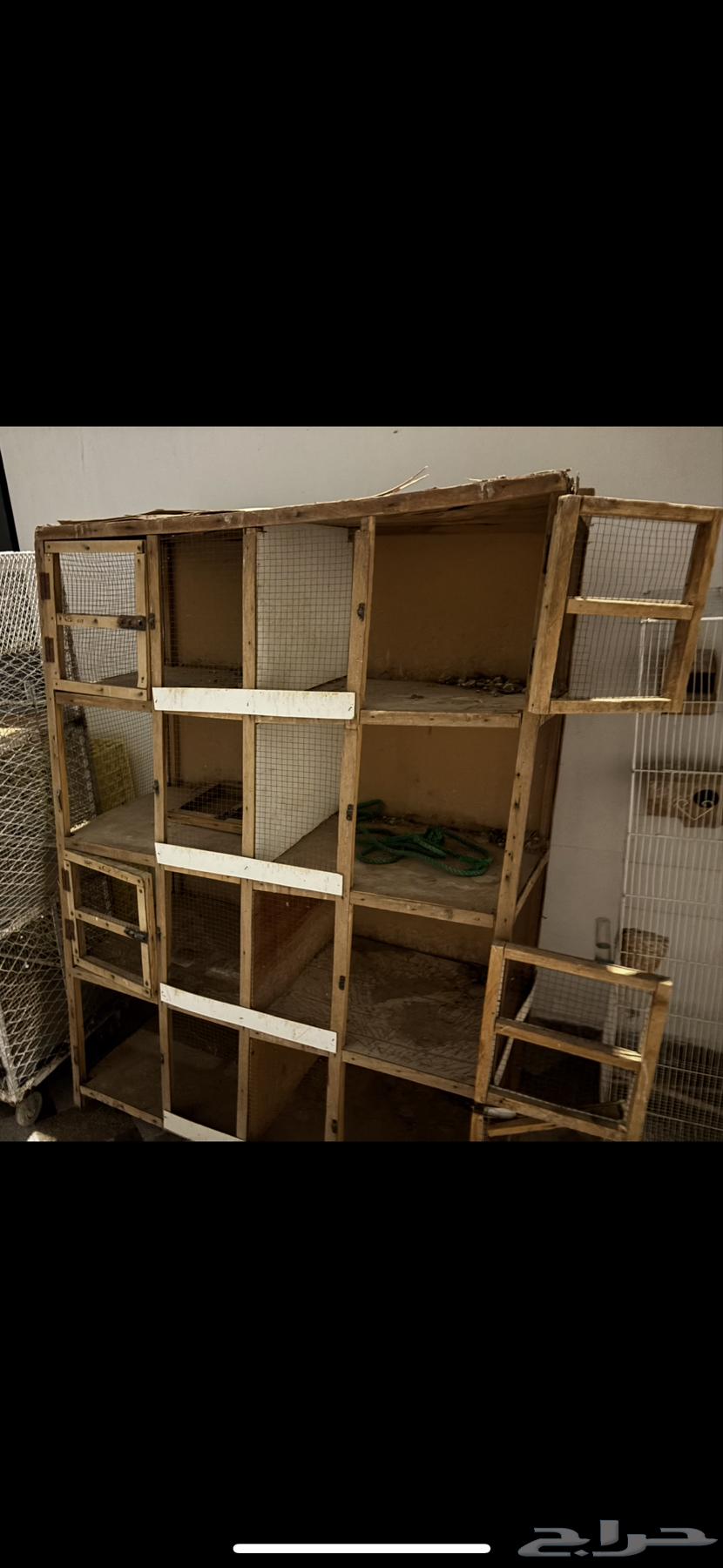 Pigeon Net for Sale63676469855107110