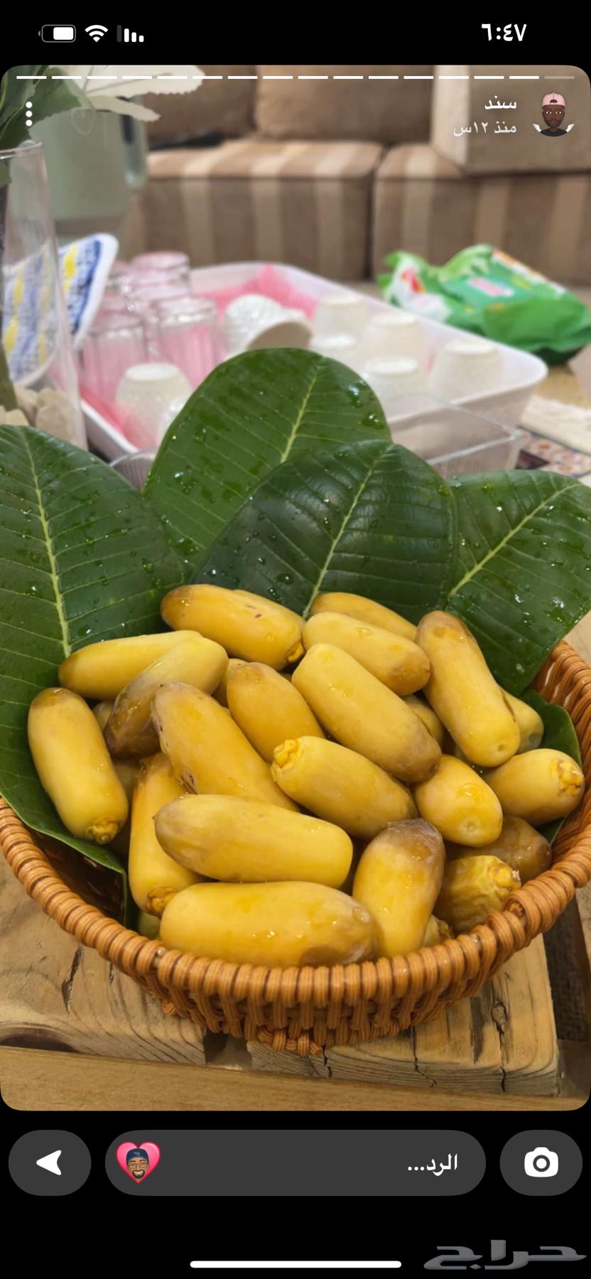 رطب فاخر من اهل النخل مباشر63679919236097110