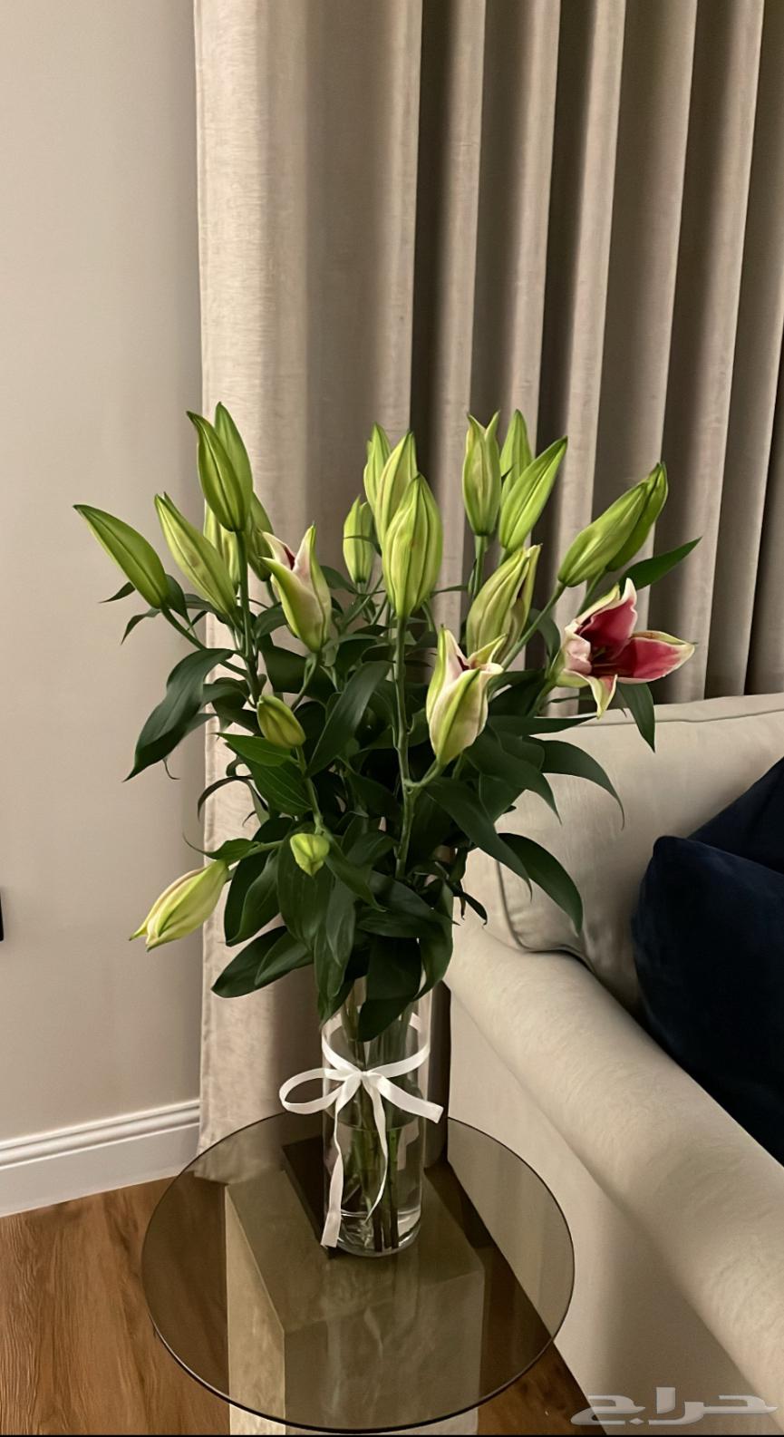 باقات ورد بأسعار رخيصه و شامله التوصيل63679029104769114