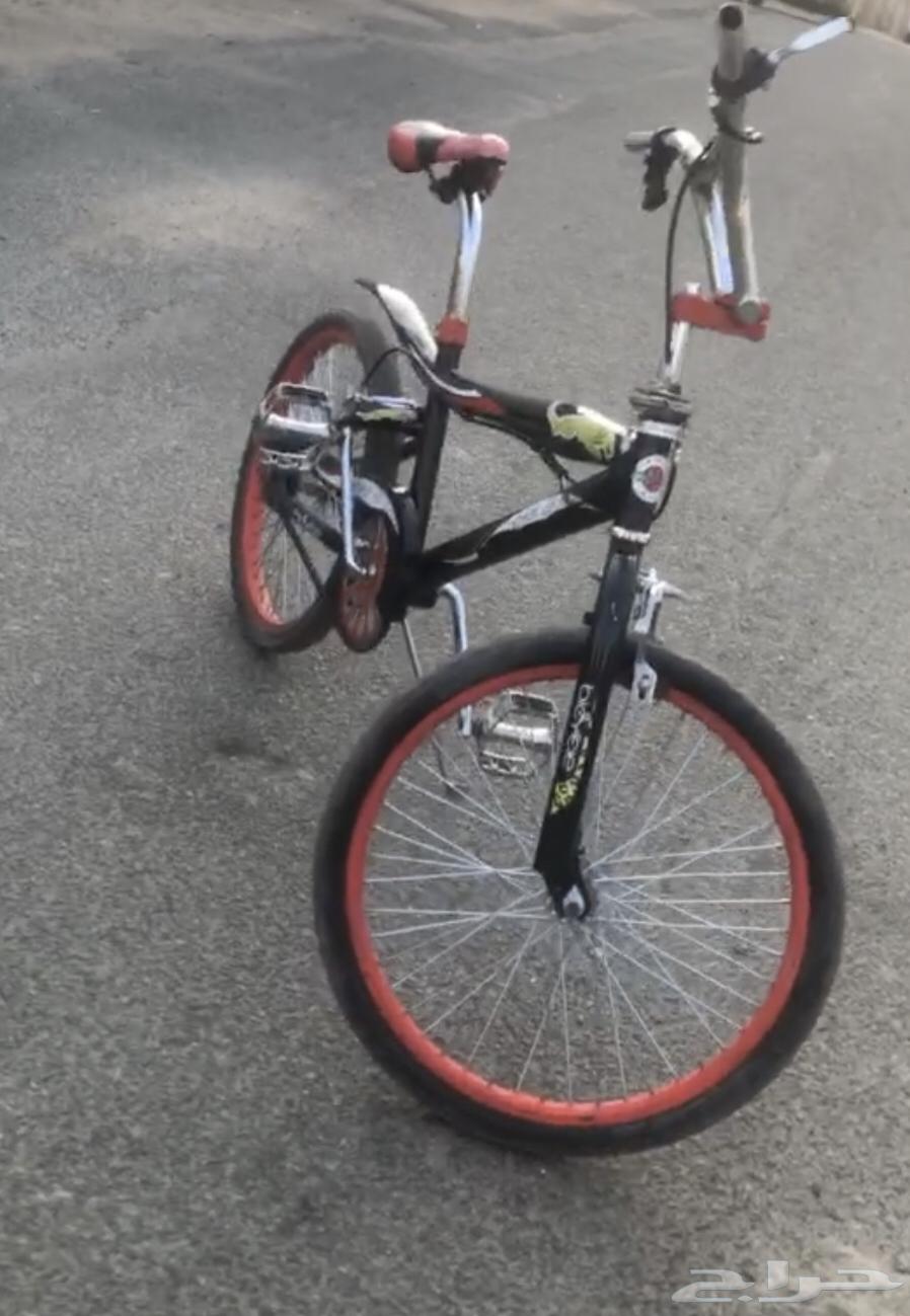 Hello, Cobra bicycle size 2063677938390401110