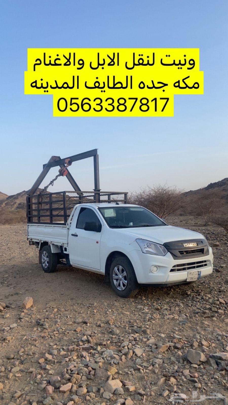 ونيت طالع المدينه من جده63612688396291110