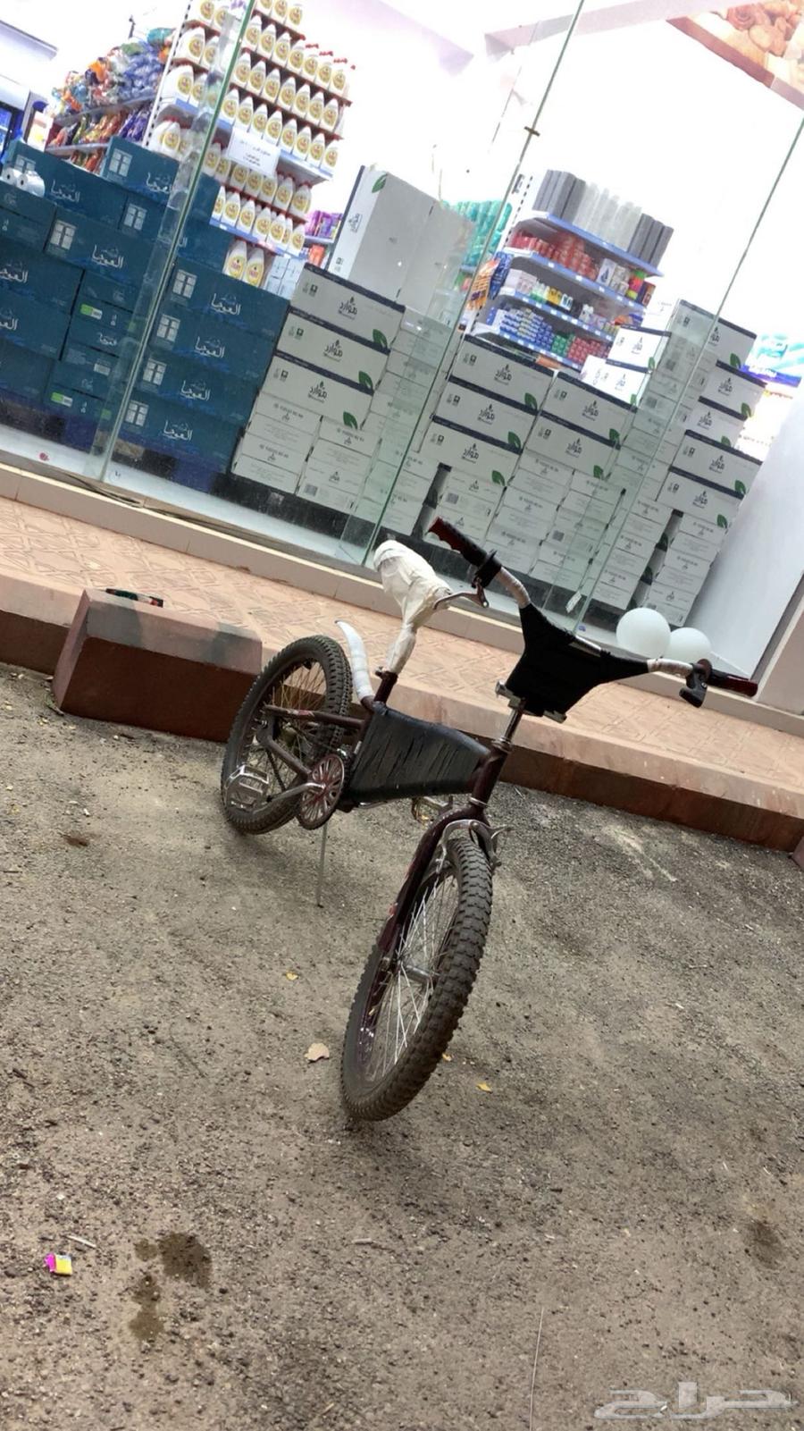 Skil Cobra 20-inch, used for one month, only rear tire changed63756147713153113