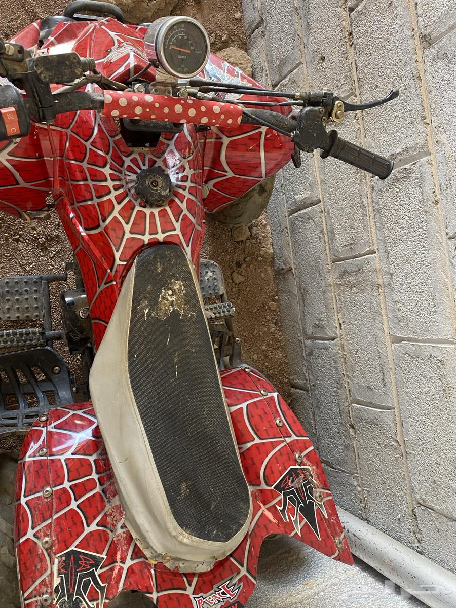 دباب صيني 110cc63753006862339111